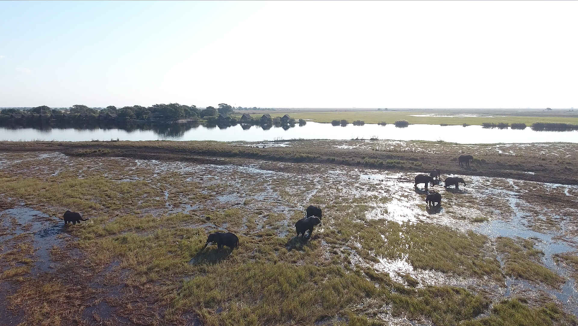 Chobe Water Villas: Pirschfahrt