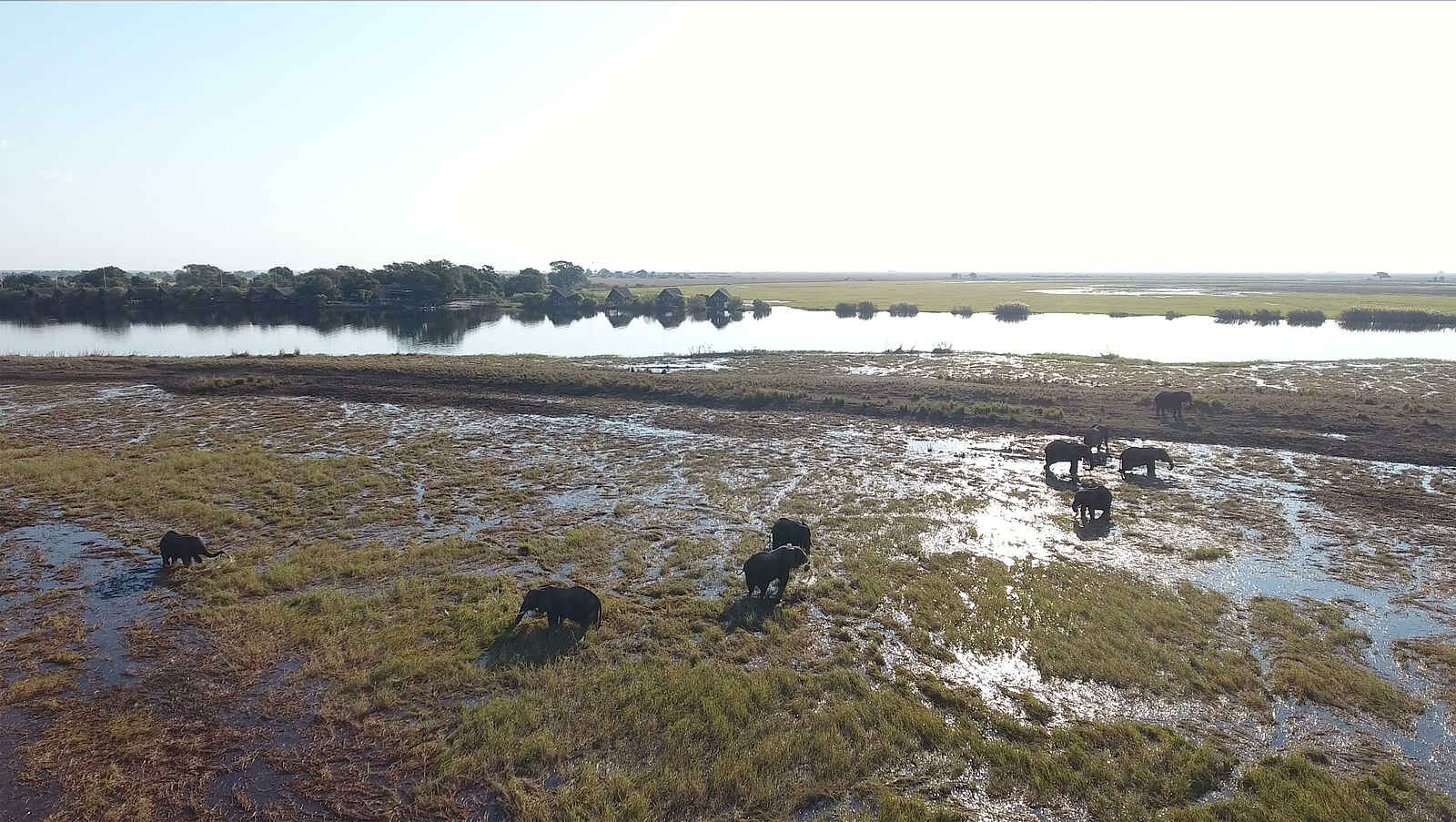 Chobe Water Villas: Pirschfahrt Chobe Water Villas: Pirschfahrt