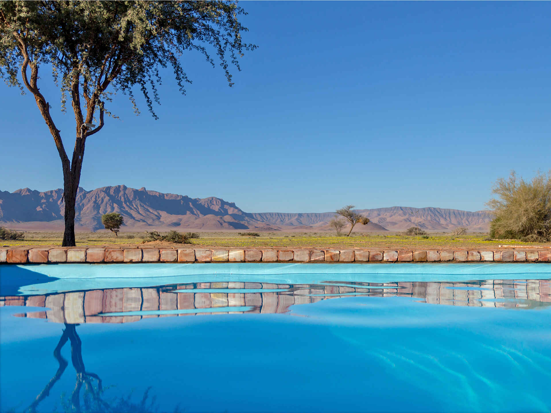 Desert Camp: der Pool