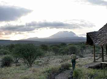Kambi ya Tembo Camp: Zelt mit Blick zum Berg