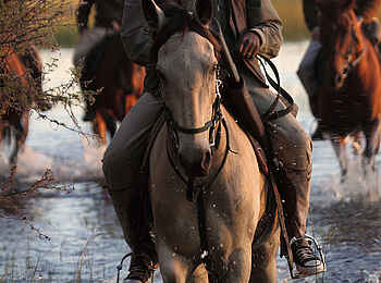 Macatoo Camp: Ritt durchs Wasser