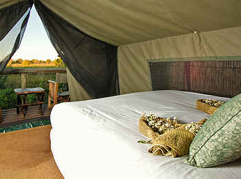 Oddball's Enclave Camp: Gästebett Oddball's Enclave Camp: Gästebett
