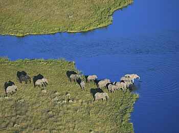 Savuti Camp: Elefantenluftbild