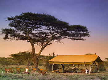 Serengeti under Canvas: Loungezelt Serengeti under Canvas: Loungezelt