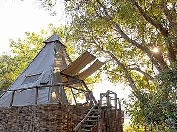 Shawa Luangwa Camp: Außenansicht des Gästezelts Shawa Luangwa Camp: Außenansicht des Gästezelts