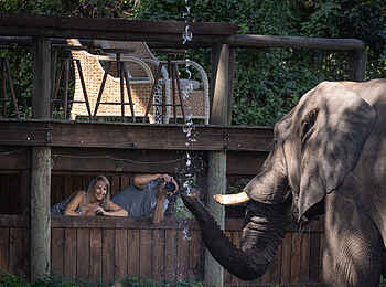 Tintswalo Safari Lodge: Der Fotohide