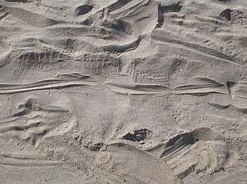 Mapazi Camp: Krokodilspuren