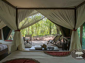 Mara Bush Camp: Doppelbett mit Moskitonetz Mara Bush Camp: Doppelbett mit Moskitonetz
