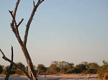 Time + Tide Nsolo: Dinner am Fluss