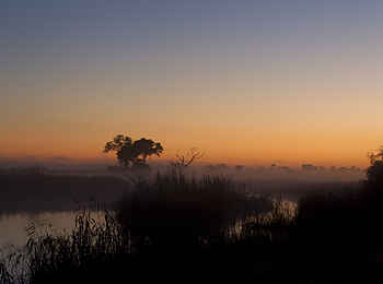 Lagoon Camp: Morgennebel Lagoon Camp: Morgennebel