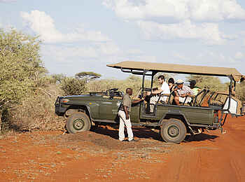 Molori Safari Lodge: Auf Pirschfahrt