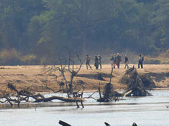 Mwaleshi Camp: Walking Safari