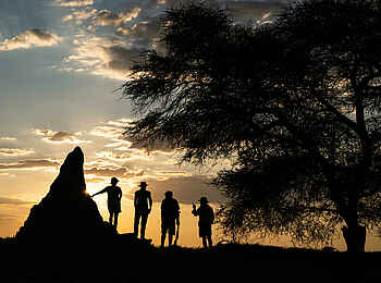 Onguma Trails Camp: Wanderung zum Sonnenuntergang