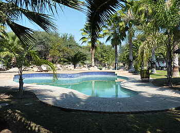 Tautona Lodge: Swimming Pool