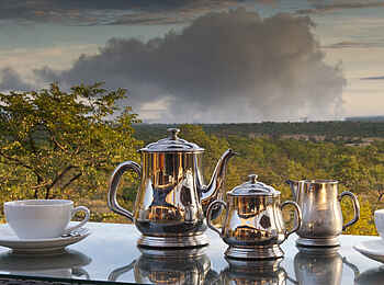 The Elephant Camp: Kaffee