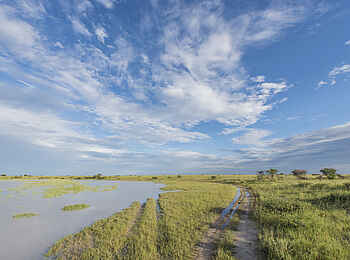 Leopard Plains: Überschwemmtes Land in den Nxai Pans Leopard Plains: Überschwemmtes Land in den Nxai Pans