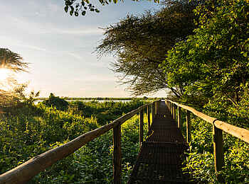 Chobe River Lodge: Weg zwischen den Einrichtungen