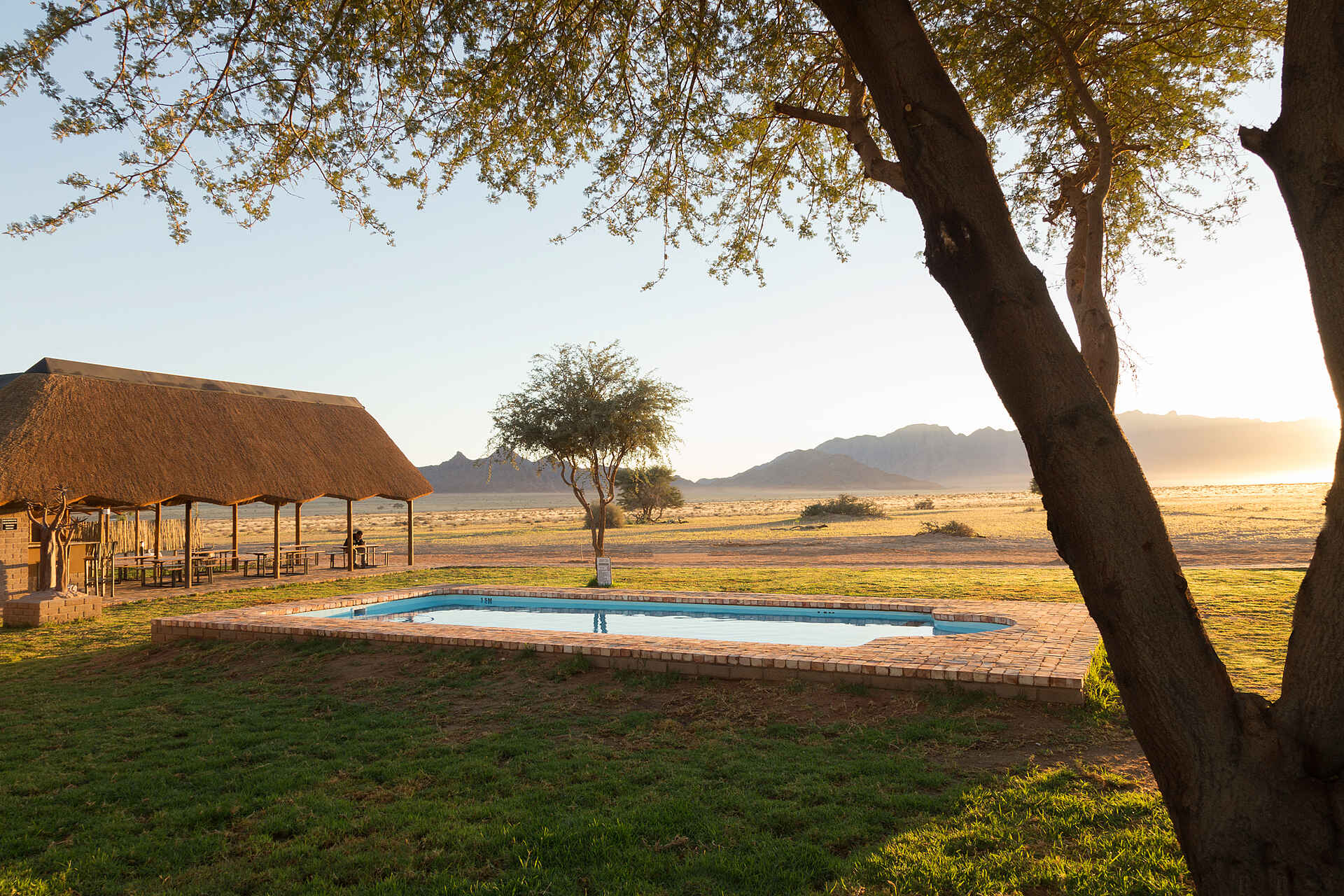 Desert Camp: Am Pool