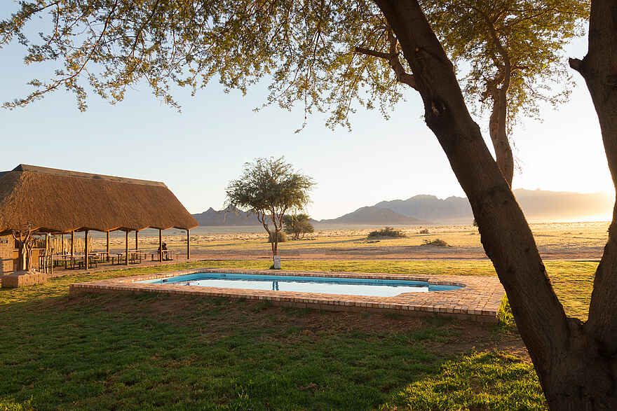 Desert Camp: Am Pool Desert Camp: Am Pool