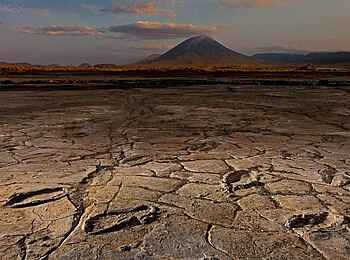 Lake Natron Camp: Fossile Fußabdrücke