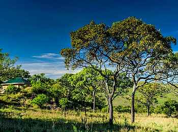 Lemala Kuria Hills: Im Grünen