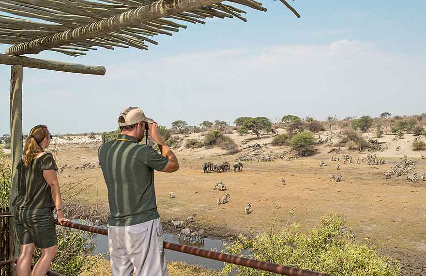 Leroo la Tau Lodge: Blick von der Terrasse Leroo la Tau Lodge: Blick von der Terrasse
