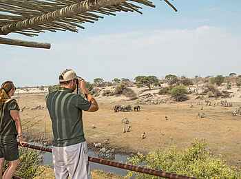 Leroo la Tau Lodge: Blick von der Terrasse