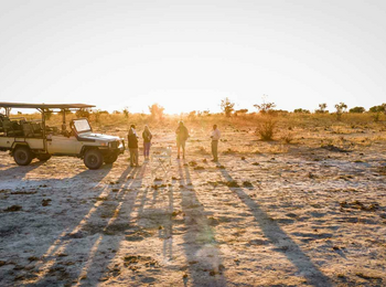 Mankwe Tented Retreat: Eine Pirschfahrt Mankwe Tented Retreat: Eine Pirschfahrt