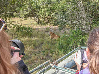 Ol Pejeta Bush Camp: Pirschfahrt