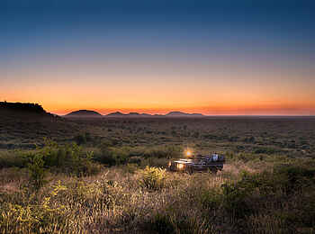 The Royal Madikwe: Pirschfahrt