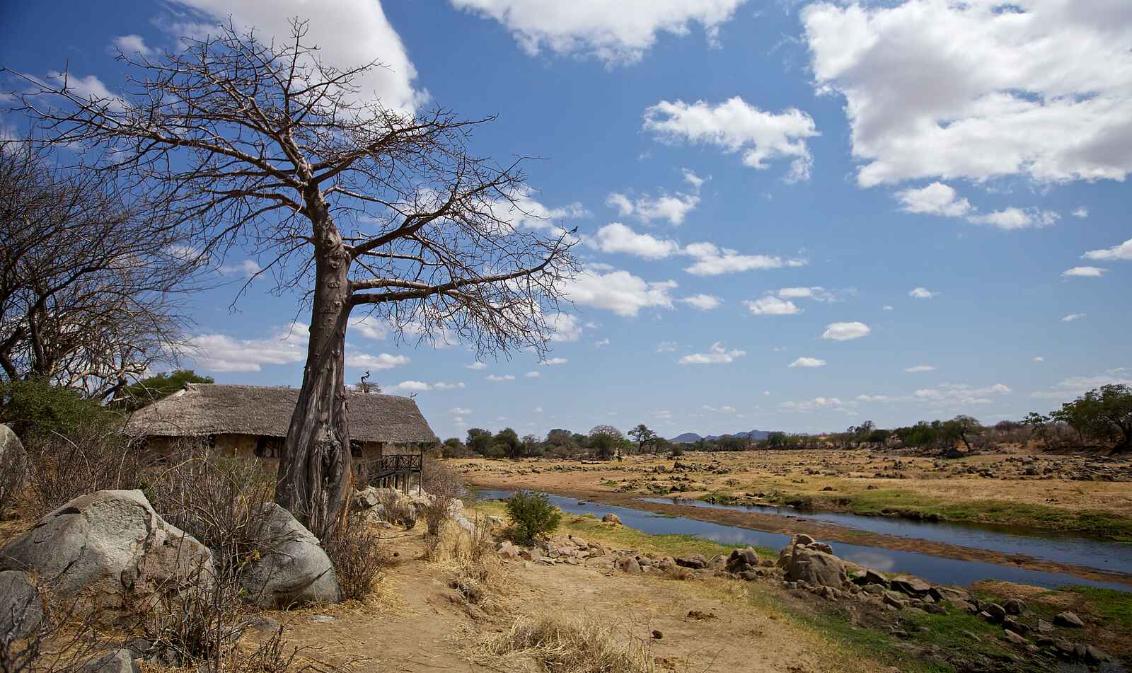 Ruaha River Lodge: Gästehütte am Ufer Ruaha River Lodge: Gästehütte am Ufer