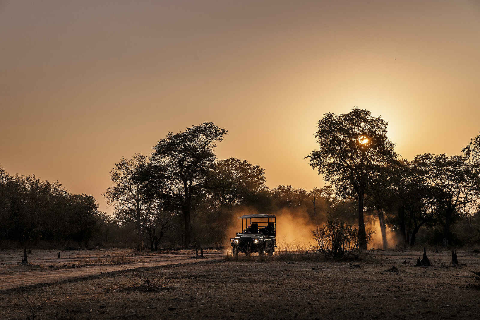 Sanguni Safari Lodge: Pirschfahrt Sanguni Safari Lodge: Pirschfahrt