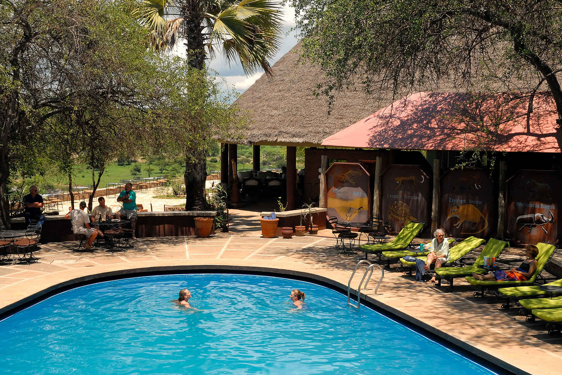 afrikarma Safaris, afrikarma Safaris - Wildnis. Hautnah., afrikarma.de, Safari, Tansania, Tanzania, Tarangire, Tarangire Nationalpark, Tarangire Safari Lodge, Pool, Swimmingpool