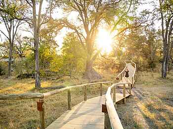 4 Rivers Camp: Der Weg zum Zelt 4 Rivers Camp: Der Weg zum Zelt