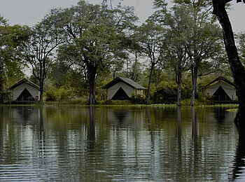 Ingwe Pan Camp: Gästezelte neben der wassergefüllten Pfanne Ingwe Pan Camp: Gästezelte neben der wassergefüllten Pfanne