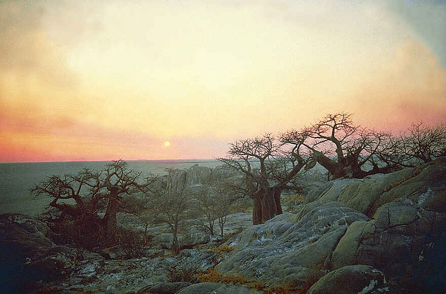 Jack's Camp: Sonnenuntergang über Kubu Island Jack's Camp: Sonnenuntergang über Kubu Island