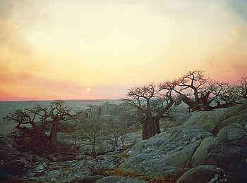 Jack's Camp: Sonnenuntergang über Kubu Island