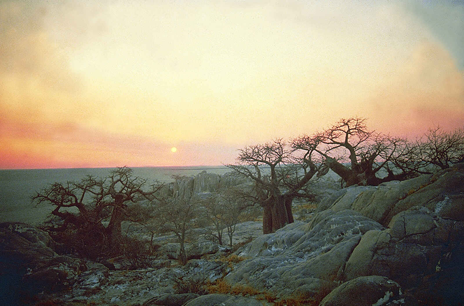 Jack's Camp: Sonnenuntergang über Kubu Island Jack's Camp: Sonnenuntergang über Kubu Island