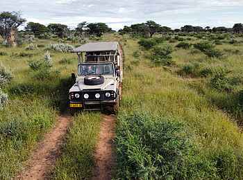 Safari Kambaku Safari Lodge: Pirschfahrt