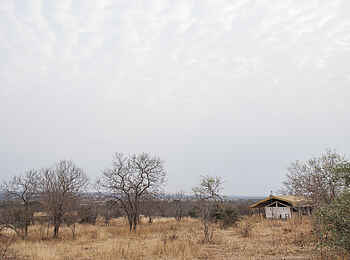Kwihala Camp: Gästezelt