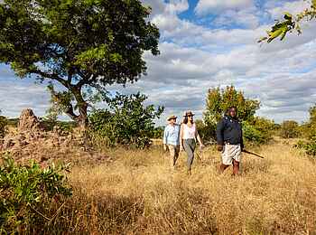Leopard Hills: Walking Safari