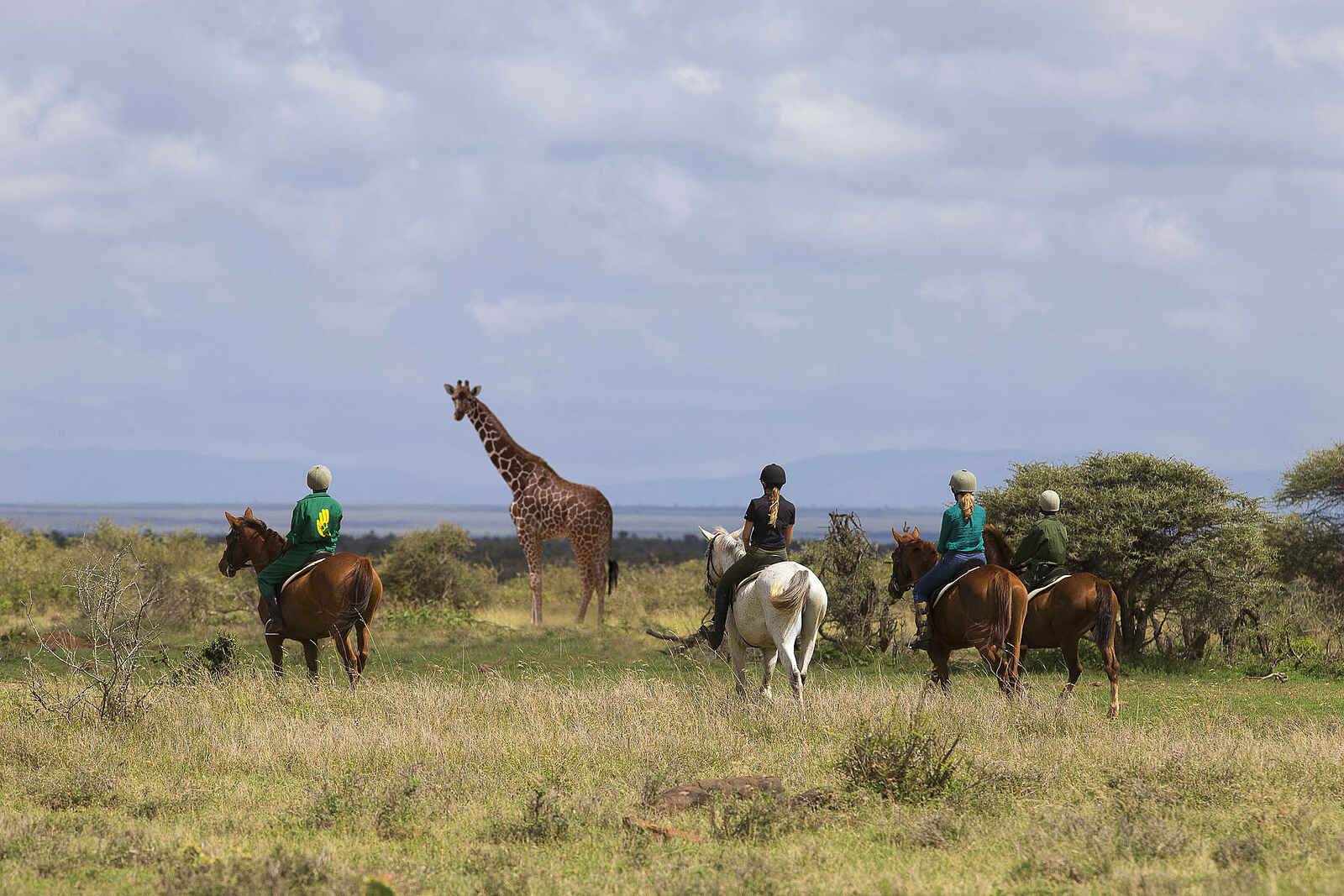Loisaba Lodo Springs: Reitsafari Loisaba Lodo Springs: Reitsafari
