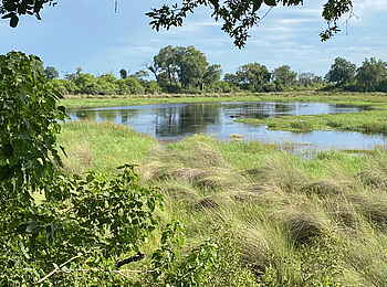 North Island Okavango Safari Camp: Nilpferd Lagune vor dem Camp