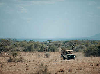 Ulusaba Rock Lodge: Game Drive