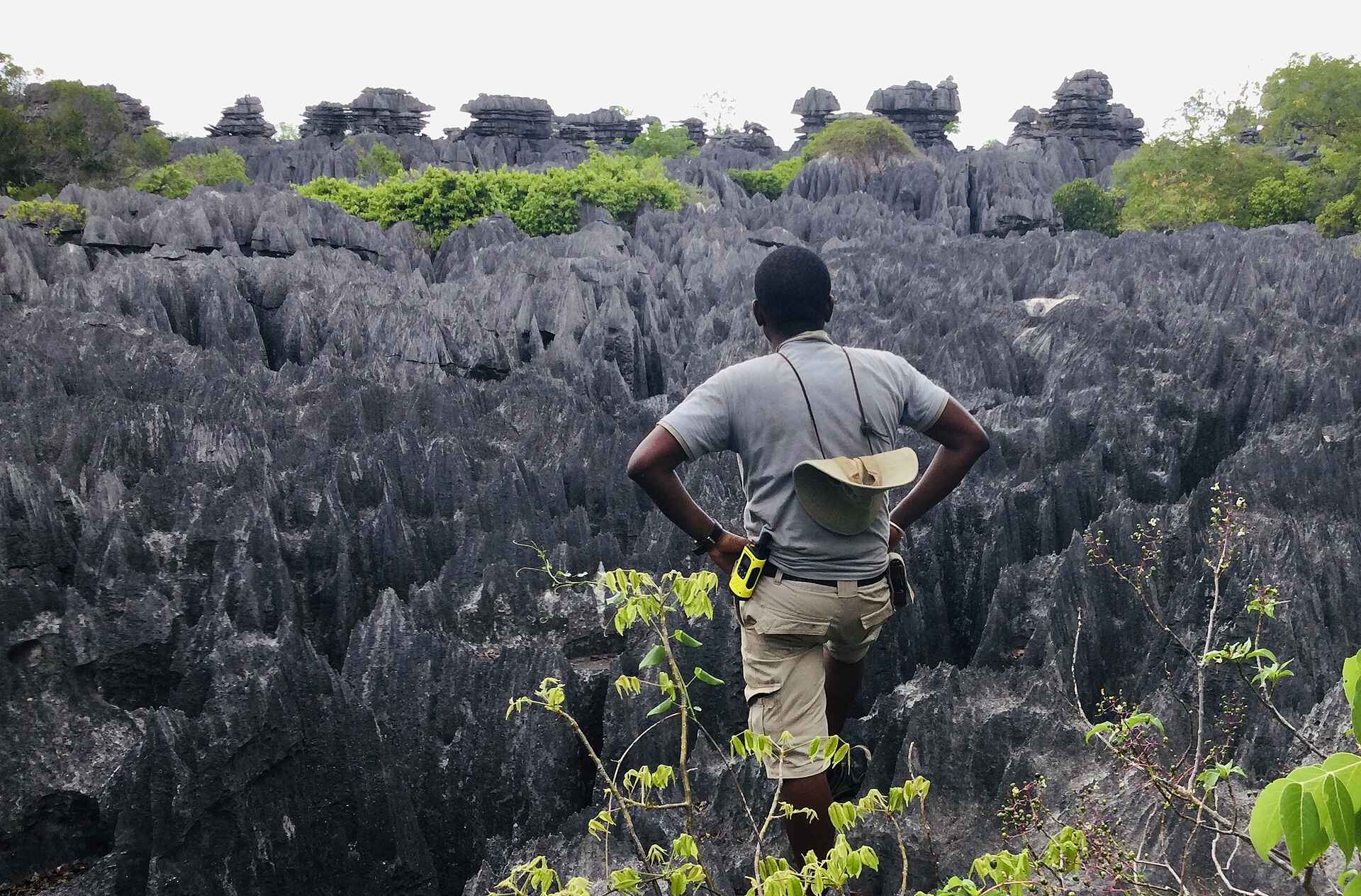 Namoroka Tsingy Camp: Blick über Tsingy