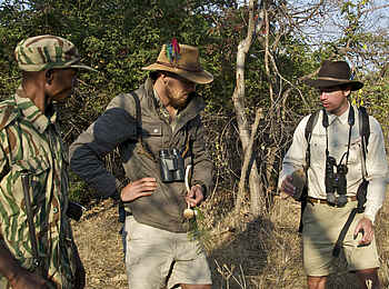 Ntemwa Busanga Bushcamp: Gespräche auf der Walking Safari