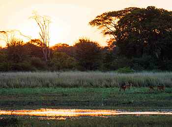 Ntemwa Busanga Bushcamp: Landschaftsportrait