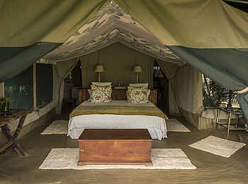 Richards River Camp: Doppelbett im Gästezelt Richards River Camp: Doppelbett im Gästezelt