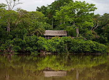 Sangha Lodge: Bungalow in der Ufervegetation Sangha Lodge: Bungalow in der Ufervegetation