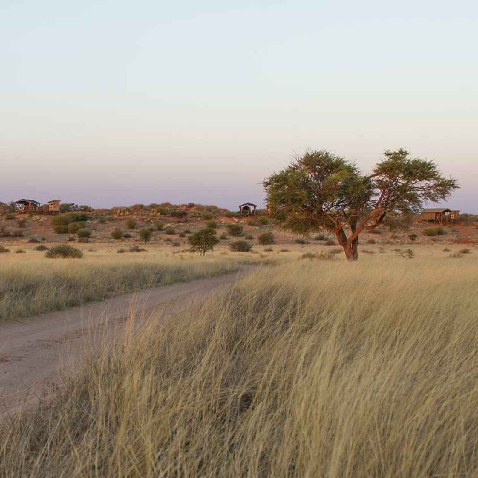 Teufelskrallen Tented Lodge: Blick aufs Camp Teufelskrallen Tented Lodge: Blick aufs Camp